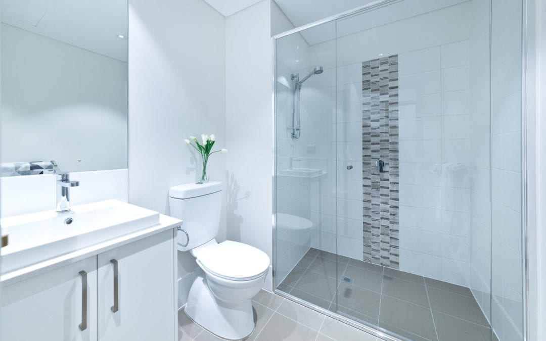 Under the microscope: framed or frameless glass shower screens?